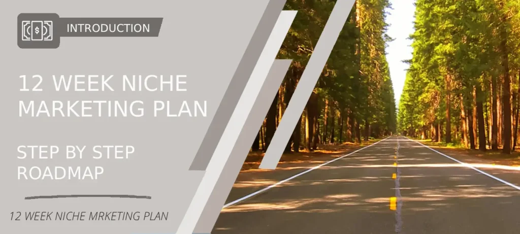 12-week niche marketing plan introduction showing a step-by-step roadmap for beginners to build and grow an online niche business.