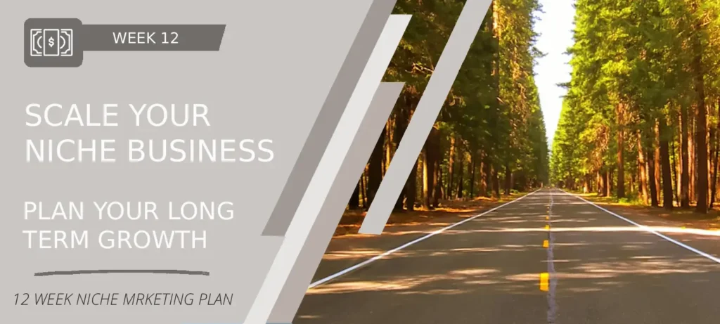 Entrepreneur planning niche business growth with laptop, charts, and strategy notes — representing scaling, outsourcing, and long-term niche planning.
