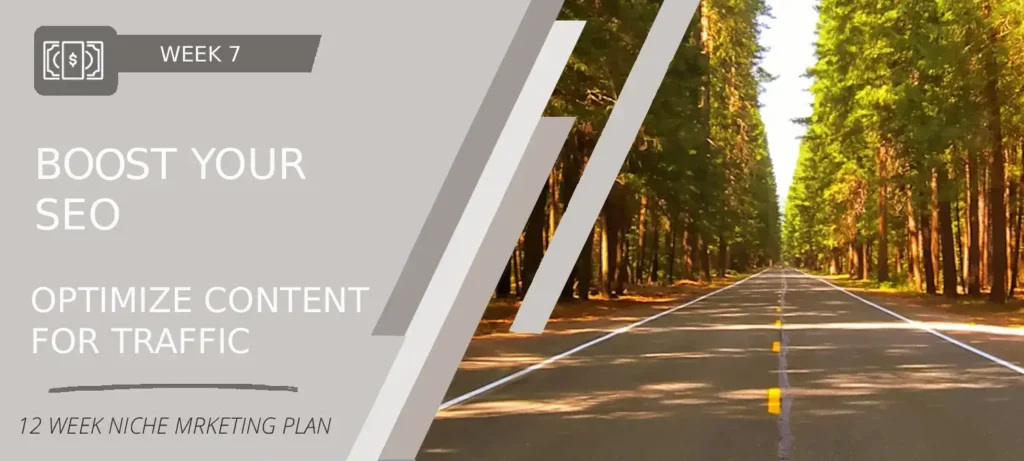 SEO expansion and on-page optimization strategy with analytics charts and keyword research tools.